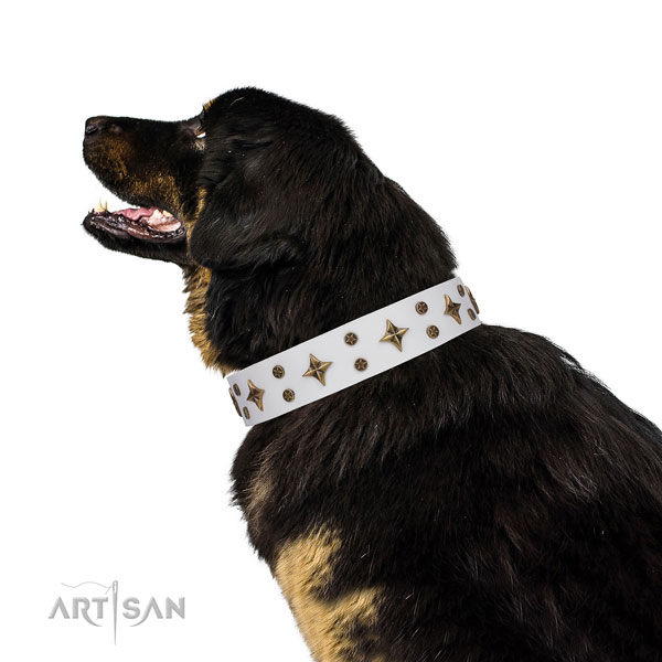 Comfortable wearing decorated dog collar of top quality material