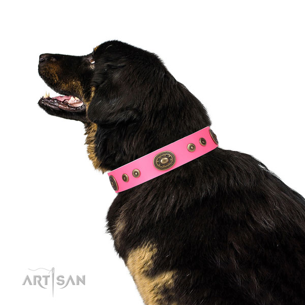 Inimitable embellished natural leather dog collar for easy wearing