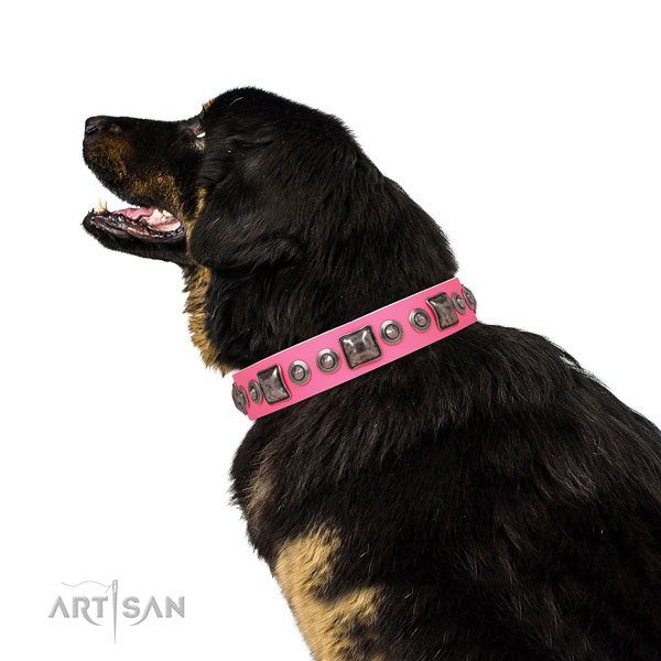 Awesome adorned genuine leather dog collar for comfortable wearing