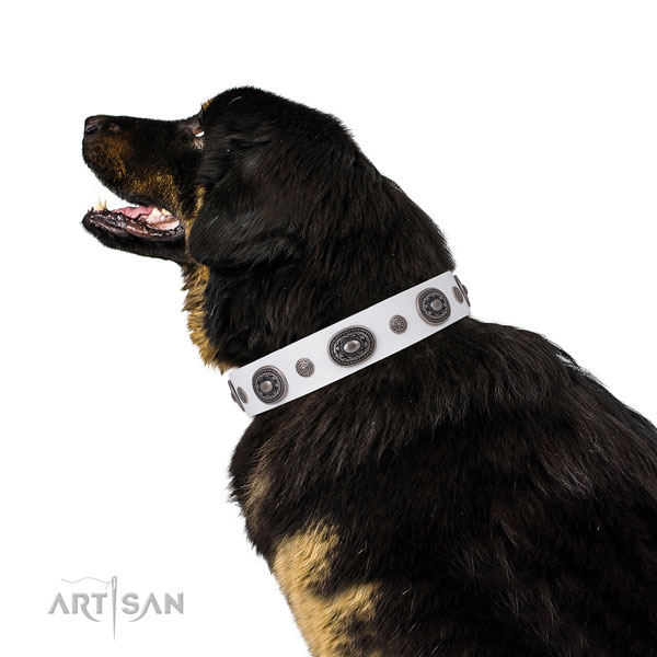 Full grain leather dog collar with reliable buckle and D-ring for daily walking