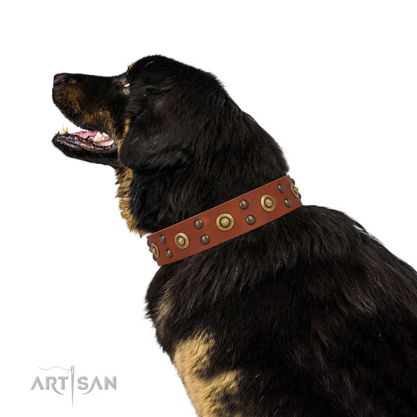 Daily walking dog collar with fashionable decorations