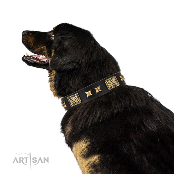 Comfortable wearing dog collar with extraordinary decorations