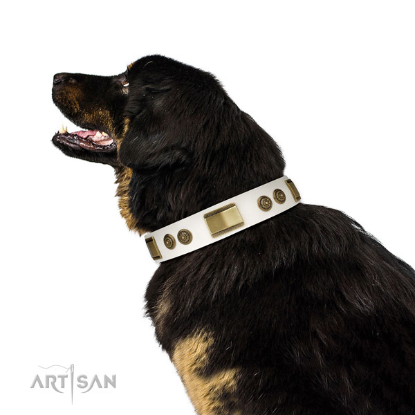 Durable comfortable wearing dog collar of genuine leather