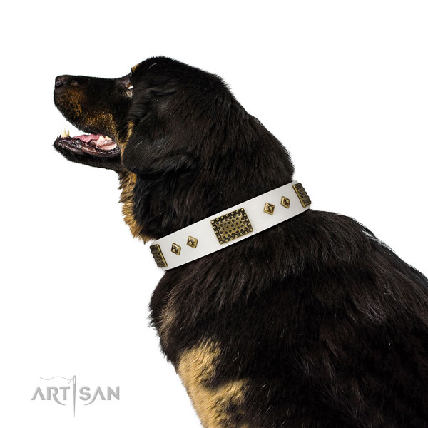 Daily use dog collar of natural leather with significant studs