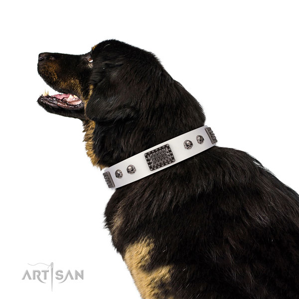 Easy to adjust full grain natural leather collar for your stylish doggie