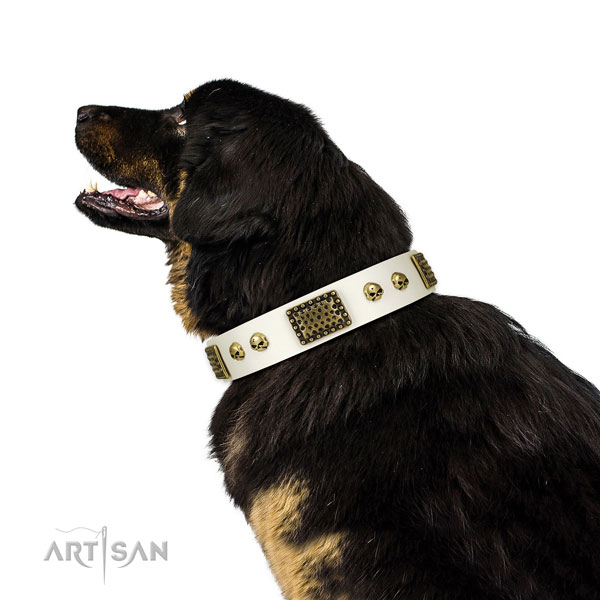 Rust-proof D-ring on full grain natural leather dog collar for easy wearing