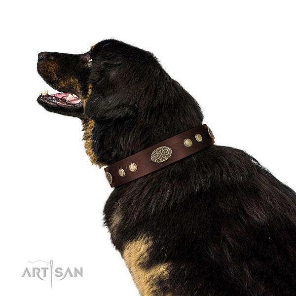 Durable D-ring on leather dog collar for stylish walking