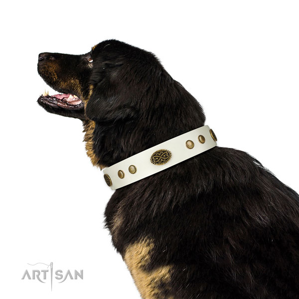 Strong buckle on genuine leather dog collar for comfy wearing