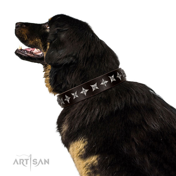 Everyday use embellished dog collar of quality genuine leather