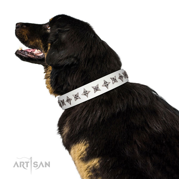 Top notch genuine leather dog collar with trendy adornments