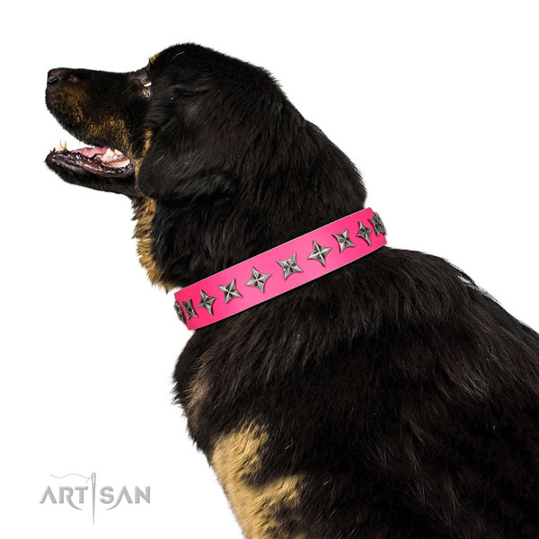 Reliable full grain leather dog collar with stunning embellishments