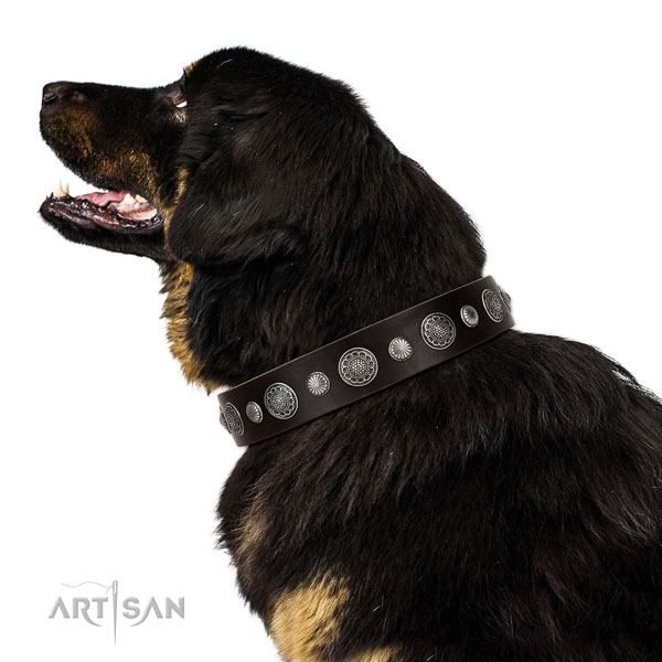 Fashionable natural leather dog collar with corrosion proof hardware