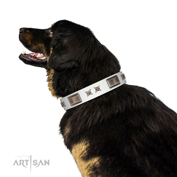 Adjustable collar of full grain natural leather for your handsome four-legged friend