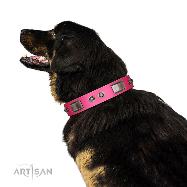 Handcrafted natural leather dog collar with decorations
