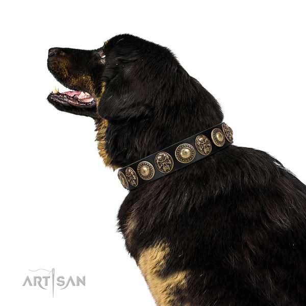 Amazing full grain genuine leather collar for your beautiful canine