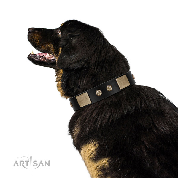 Exceptional full grain leather collar for your lovely canine