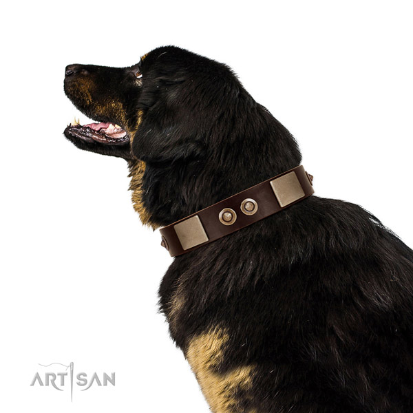 Durable D-ring on genuine leather dog collar for daily use