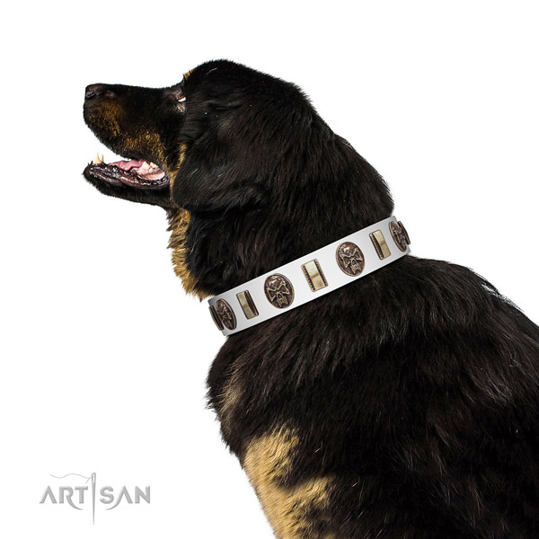 Full grain genuine leather dog collar with extraordinary adornments