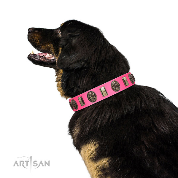 Strong buckle on genuine leather dog collar for comfy wearing