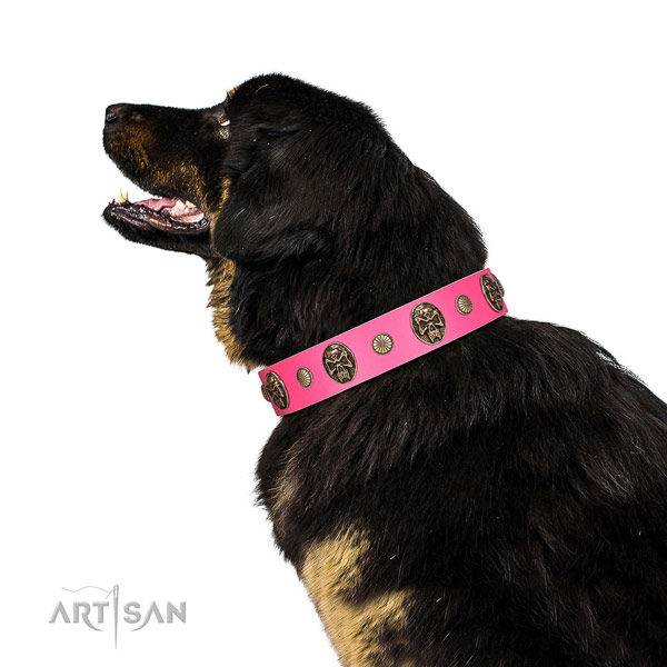 Corrosion proof D-ring on genuine leather dog collar for comfortable wearing