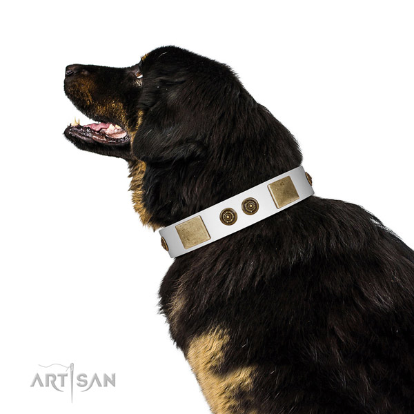 Inimitable dog collar created for your lovely dog