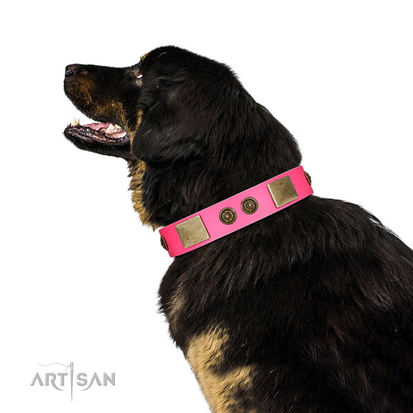 Embellished dog collar made for your beautiful four-legged friend
