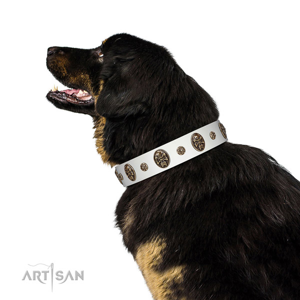 Easy wearing dog collar of leather with awesome embellishments