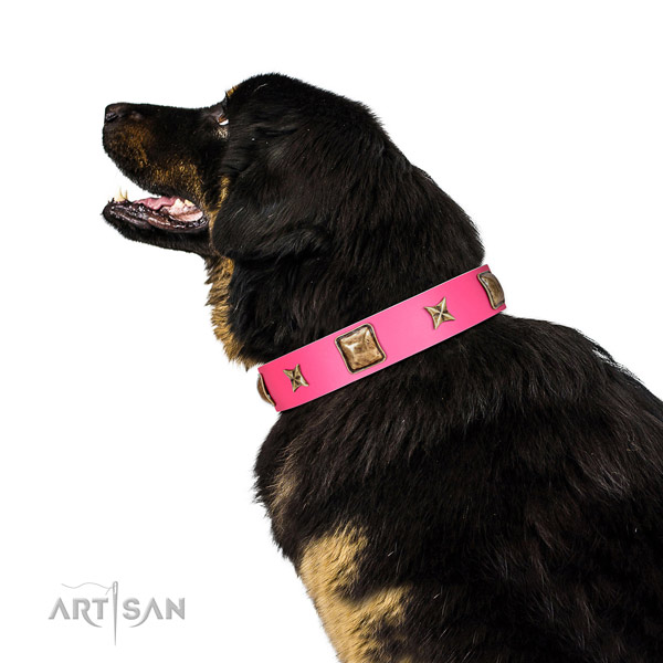 Full grain natural leather dog collar of soft to touch material with significant adornments