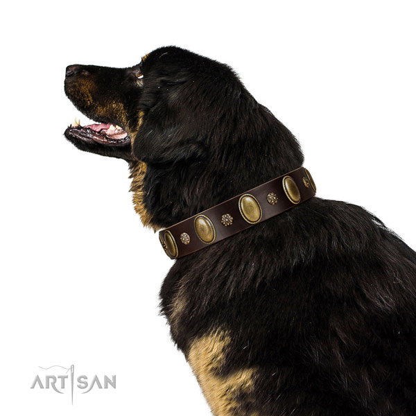 Stylish walking soft full grain genuine leather dog collar with embellishments