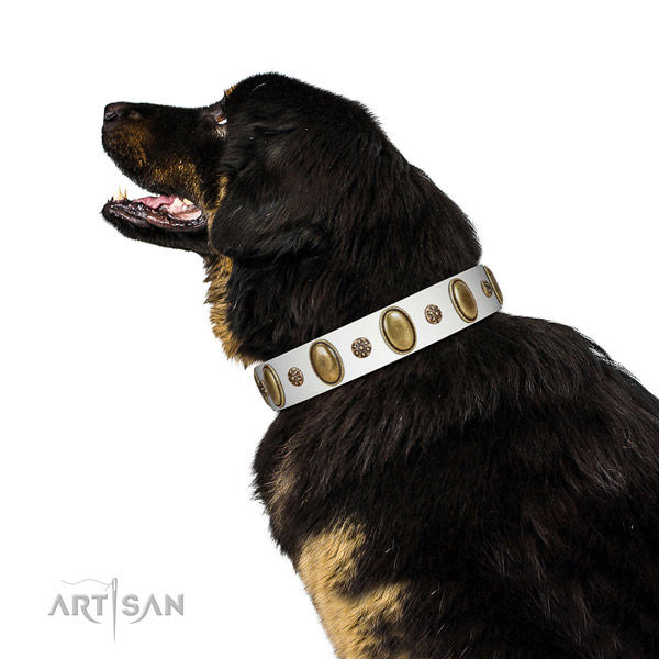 Comfy wearing reliable natural genuine leather dog collar