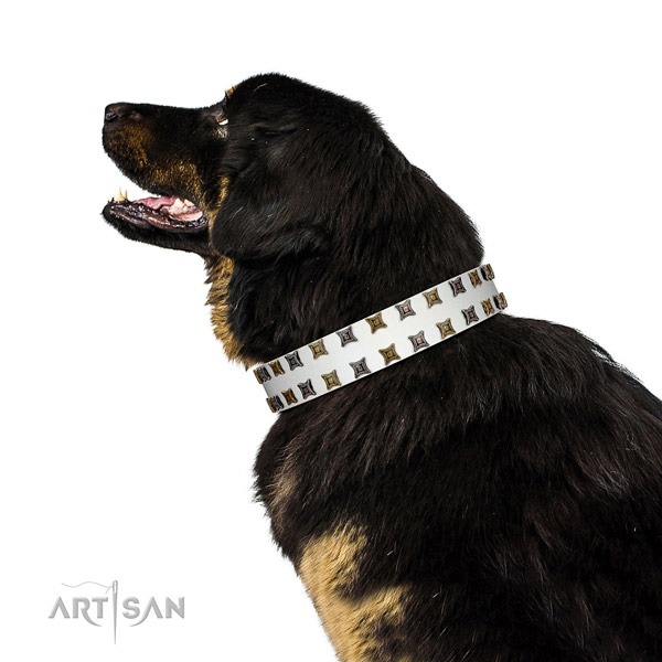 High quality full grain genuine leather dog collar with embellishments for your four-legged friend