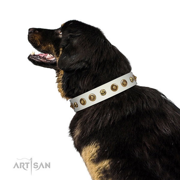 Fashionable full grain genuine leather dog collar with adornments