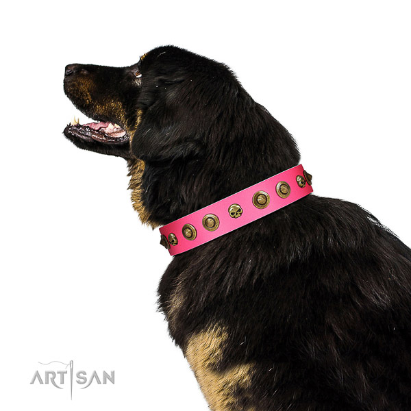 Stylish full grain genuine leather dog collar with adornments