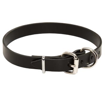 Mastiff Leather Dog Collar For Everyday Training