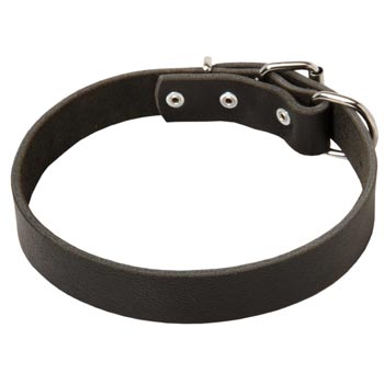 Leather Dog Collar Simple  Design for Mastiff