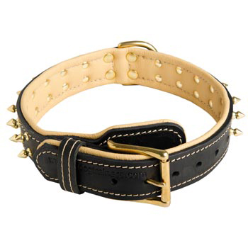 Leather Dog Collar Spiked Adjustable for Mastiff Walking