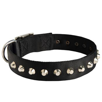 Walking Nylon   Mastiff Collar Nickel Studded Waterproof