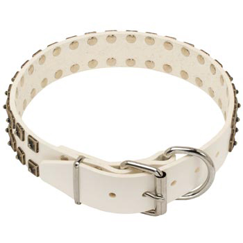 White Leather Dog Buckle Collar for Mastiff