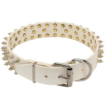 Spiked Leather Mastiff Collar