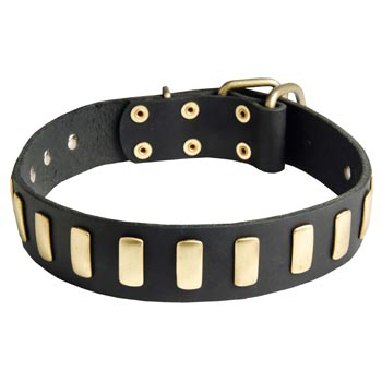 Mastiff Collar Leather with Brass Hardware