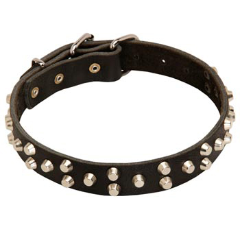 Wide Leather Dog Collar for Mastiff Walking
