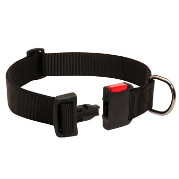 Reliable Nylon Mastiff Collar