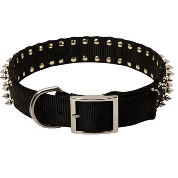 Mastiff Wide Dog Nylon Collar Spiked