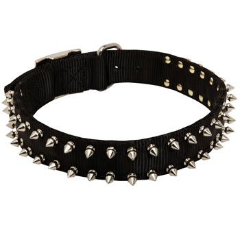 Mastiff Dog Nylon Collar Steel Nickel Plated Spikes