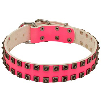 Studded Pink Leather Collar for Mastiff She-Dogs