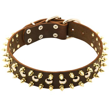 Leather Collar for Mastiff with Solid Fittings