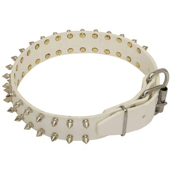 Fashion White Collar for Mastiff