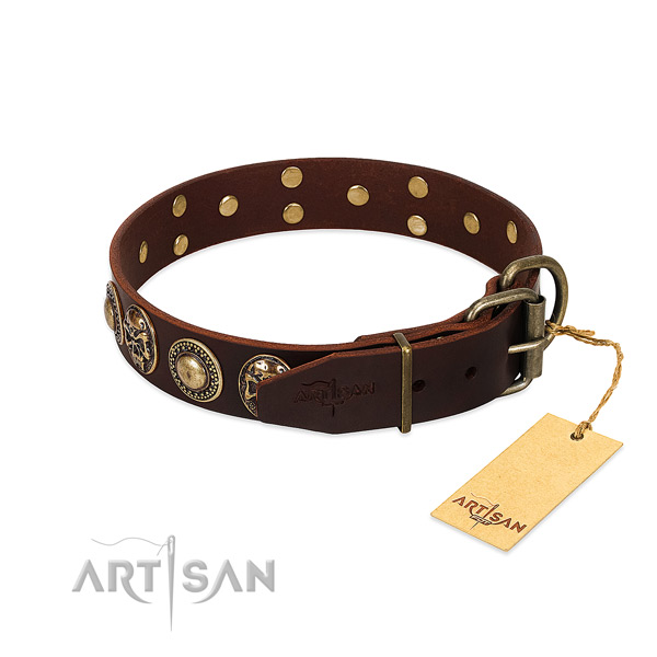 Strong studs on stylish walking dog collar