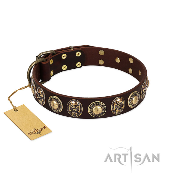 Inimitable genuine leather dog collar for daily walking