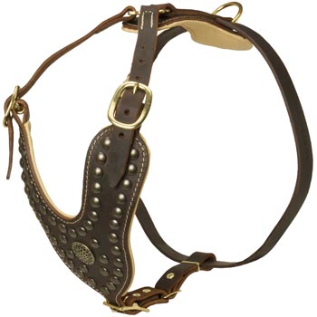 Walking Dog Gear for Mastiff
